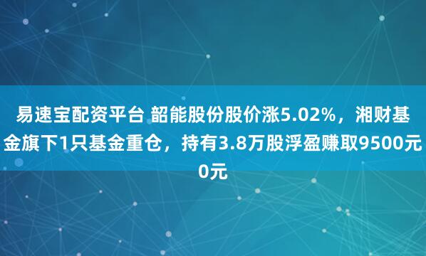易速宝配资平台 韶能股份股价涨5.02%，湘财基金旗下1只基金重仓，持有3.8万股浮盈赚取9500元