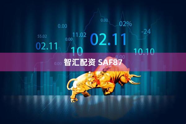 智汇配资 SAF87